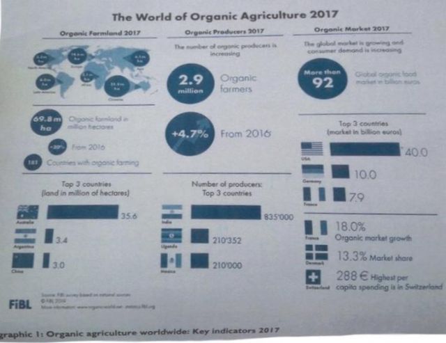 El sector ecológico ha crecido el 15% en el último año - 4, Foto 4