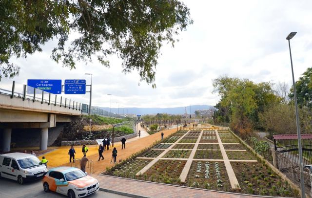 La Alameda de ´Murcia Río´ recrea el paisaje de la Huerta y los bosques de ribera en pleno centro de la ciudad - 5, Foto 5