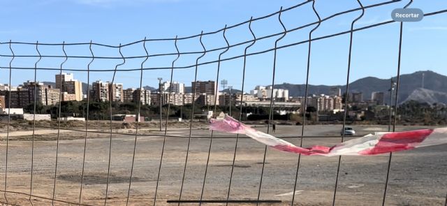 MC toma la iniciativa en revegetación del municipio y reclama que se reúna la mesa al efecto - 2, Foto 2