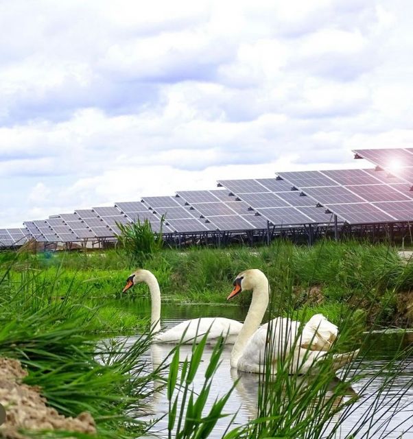 Diez datos que demuestran que la energía solar es una oportunidad para España - 3, Foto 3