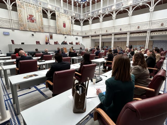 El Pleno de la Asamblea Regional aprueba una Declaración Institucional de apoyo a los trabajadores y trabajadoras del transporte sanitario - 1, Foto 1