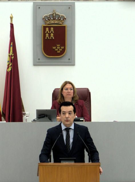 Pancorbo anuncia en la Asamblea que Fomento trabaja en una norma para mejorar la calidad de la contratación de obra pública en la Región - 1, Foto 1