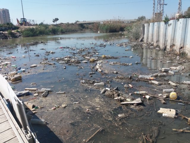 La CHS hace un llamamiento para frenar el uso como vertederos de los azarbes que llegan al río Segura - 1, Foto 1