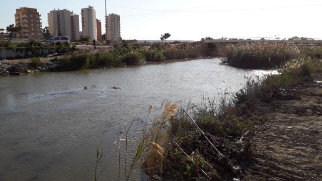 La CHS hace un llamamiento para frenar el uso como vertederos de los azarbes que llegan al río Segura - 2, Foto 2