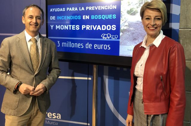 Los dueños de montes o bosques privados pueden optar desde hoy a ayudas de hasta 120.000 euros para prevenir incendios - 1, Foto 1