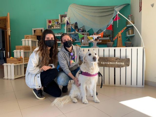 La Cátedra Animales y Sociedad retoma Emociones con patas, un programa pionero en educación con menores - 1, Foto 1