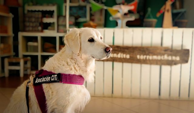 La Cátedra Animales y Sociedad retoma Emociones con patas, un programa pionero en educación con menores - 3, Foto 3