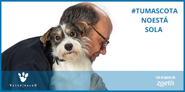 Zoetis respalda el proyecto #TuMascotaNoEstáSola liderado por la red de clínicas veterinarias Vetersalud - 1, Foto 1