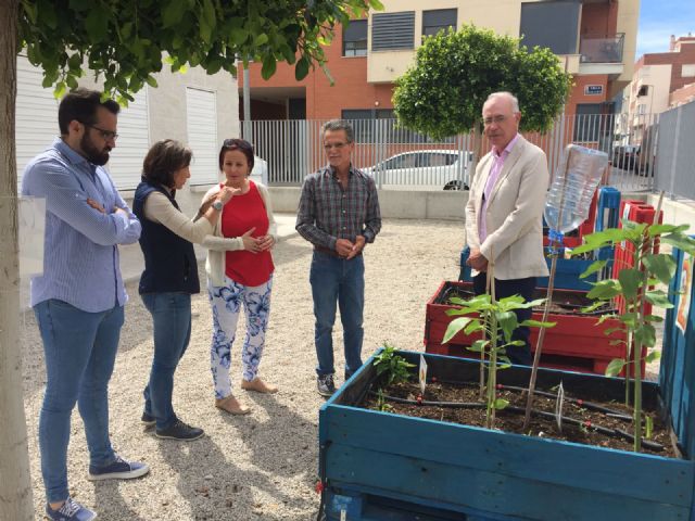 El colegio Vistabella de Murcia y el colegio Escuelas Nuevas de El Palmar consiguen el galardón de ´Escuelas Verdes´ - 5, Foto 5