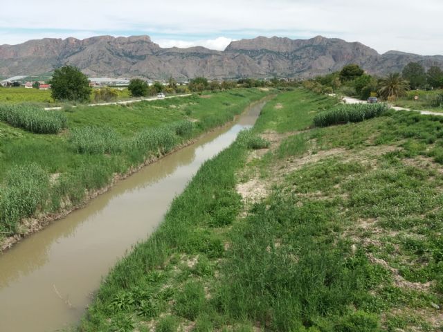 La CHS investiga tres vertidos, dos  en Murcia  y uno en Alcantarilla al río Segura y uno en Torre Pacheco a la rambla del Albujón - 2, Foto 2