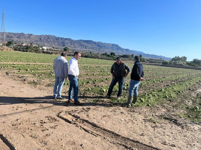 El alcalde de Lorca visita las zonas más afectadas por el granizo y solicita la declaración de zona gravemente afectada por emergencia de protección civil (zona catastrófica) - 1, Foto 1