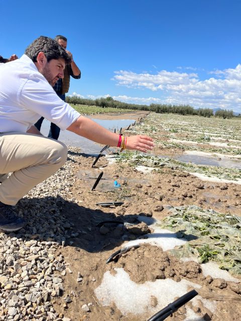 López Miras solicita al Gobierno de España declarar zona catastrófica las áreas de cultivo afectadas por el granizo - 1, Foto 1