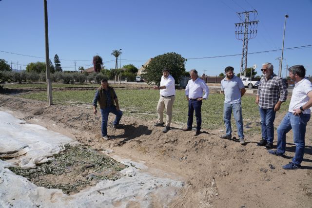 López Miras solicita al Gobierno de España declarar zona catastrófica las áreas de cultivo afectadas por el granizo - 2, Foto 2