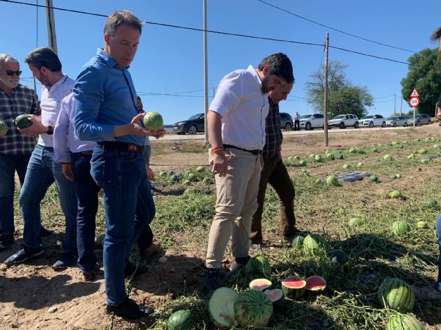 Fulgencio Gil reclama la declaración de zona catastrófica para ayudar a los agricultores afectados por la granizada que ha arruinado miles de hectáreas - 1, Foto 1