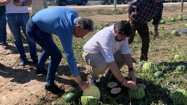 Fulgencio Gil reclama la declaración de zona catastrófica para ayudar a los agricultores afectados por la granizada que ha arruinado miles de hectáreas - 3, Foto 3