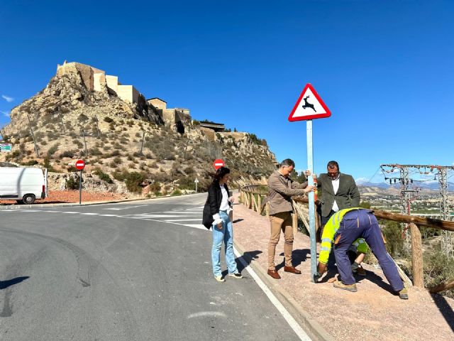 El Ayuntamiento de Lorca instala casi una decena de señales de 'paso de animales en libertad' en las inmediaciones del Castillo por la elevada presencia de arruís - 1, Foto 1