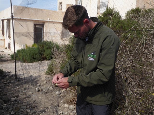 Anillamiento a puertas abiertas y resumen de la campaña de isla Glosa para celebrar el Día Mundial de las Aves Migratorias - 2, Foto 2