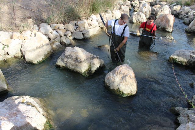 El Life+ Segura Riverlink se despide con unas jornadas en las que se analizarán los resultados - 1, Foto 1