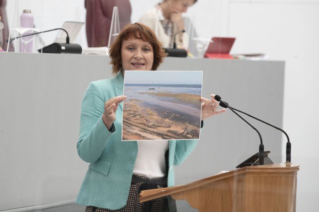 María Marín: La Fundación Ingenio es un lobby de presuntos delincuentes - 1, Foto 1