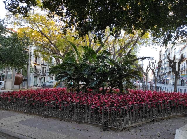 El ayuntamiento anula el contrato del polémico proyecto de la plaza de Camachos tras años de denuncias de Huermur - 3, Foto 3