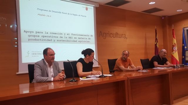 Una nueva línea ofrece ayudas por más de 5,6 millones para proyectos de innovación en el sector agrario - 1, Foto 1