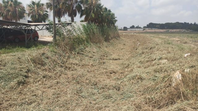 Limpieza de cauces en Torre Pacheco - 3, Foto 3