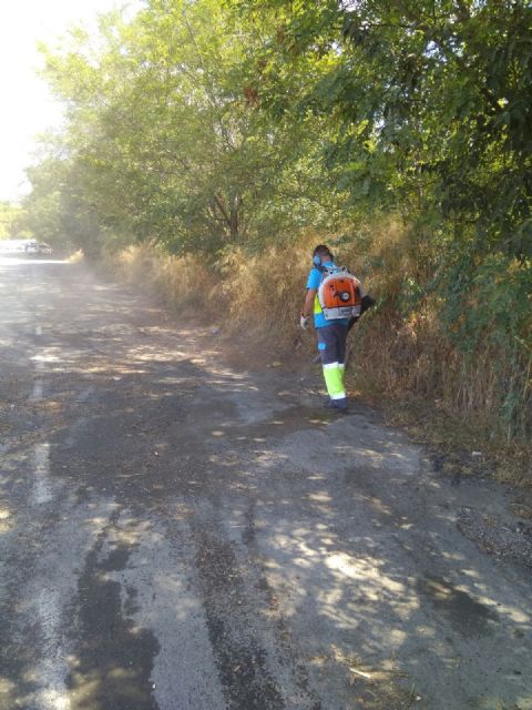 Fomento realiza una limpieza de choque en el aparcamiento disuasorio del Malecón - 3, Foto 3