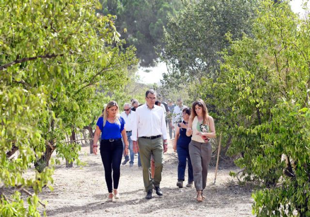 ´Las Fortalezas del Rey Lobo´ toma impulso con las excavaciones en las Albercas de Larache y Molino Armero - 2, Foto 2