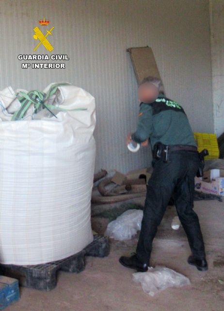 La Guardia Civil investiga a dos empresarios agrícolas por multiplicar y vender semillas patentadas - 3, Foto 3