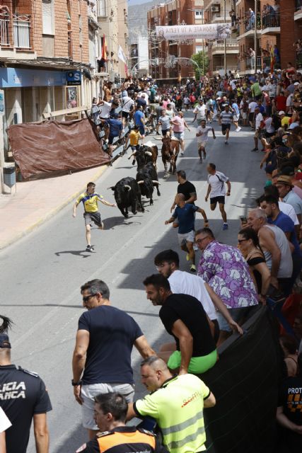 Un último encierro con los astados de Los Chospes rápido y limpio en las Fiestas Patronales de Blanca 2024 - 1, Foto 1