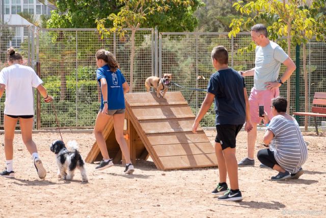 Abre sus puertas el primer parque canino de Cartagena junto al remodelado Parque de La Rosa - 1, Foto 1