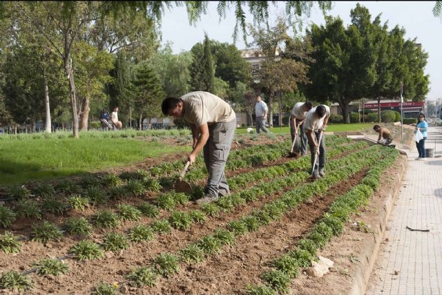 La Junta de Gobierno adjudica a ACTÚA-ACIONA el contrato de jardines - 1, Foto 1