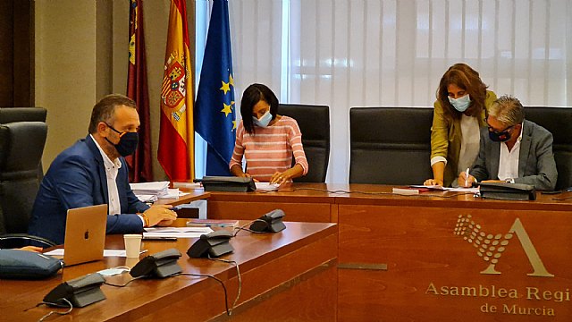 Ciudadanos acelera los trabajos de la Comisión de Reactivación Económica en la Asamblea Regional - 2, Foto 2