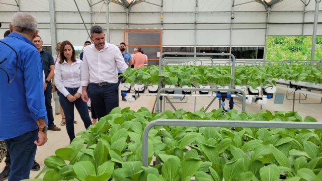 Luengo visita una empresa que facilita el cultivo hidropónico reduciendo el empleo de agua y nitratos - 1, Foto 1