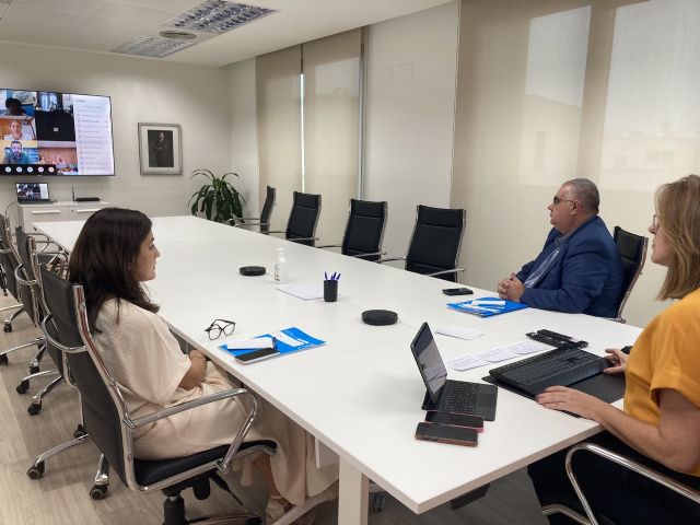 Isabel Franco se reúne con representantes de ayuntamientos para asegurar la continuidad de los Programas de Empleabilidad y Garantía Juvenil - 1, Foto 1