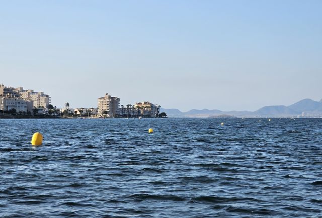 Medio Ambiente balizará en dos meses las zonas de exclusión de fondeo para salvaguardar las poblaciones de nacra en el Mar Menor - 1, Foto 1