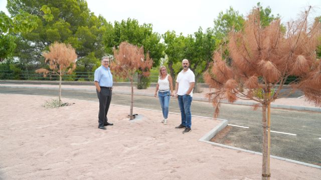 El modelo ambiental del PP en el Majal Blanco: cemento, asfalto y árboles secos El modelo ambiental del PP en el Majal Blanco: cemento, asfalto y árboles secos