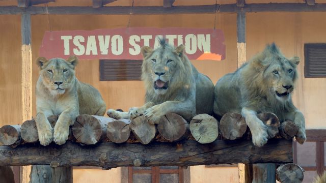 Terra Natura Murcia cierra su mejor verano tras recibir a 132.000 personas Terra Natura Murcia cierra su mejor verano tras recibir a 132.000 personas