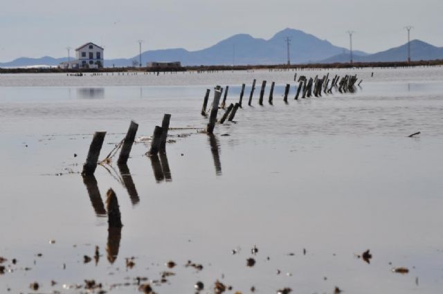 Medio Ambiente invita a participar en la yincana fotográfica por el sendero de Las Encañizadas en las Salinas de San Pedro del Pinatar - 1, Foto 1