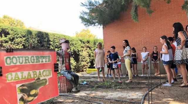 Educación abre una nueva convocatoria del programa de huertos escolares ecológicos - 2, Foto 2