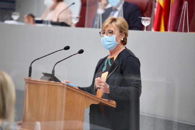 Maruja Pelegrín: Tras cuatro años de intenso trabajo, presentamos una ley que blinda el derecho a los servicios sociales de los ciudadanos de la Región - 1, Foto 1