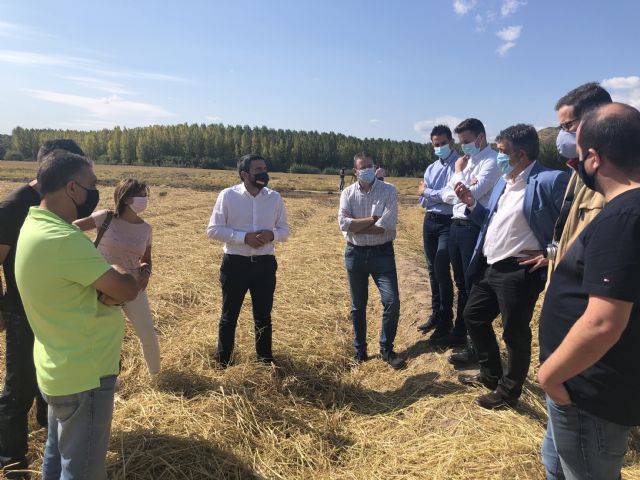 La cosecha de la DO Arroz Calasparra crecerá un 20 por ciento esta campaña, en la que esperan superar los 3 millones de kilos - 1, Foto 1