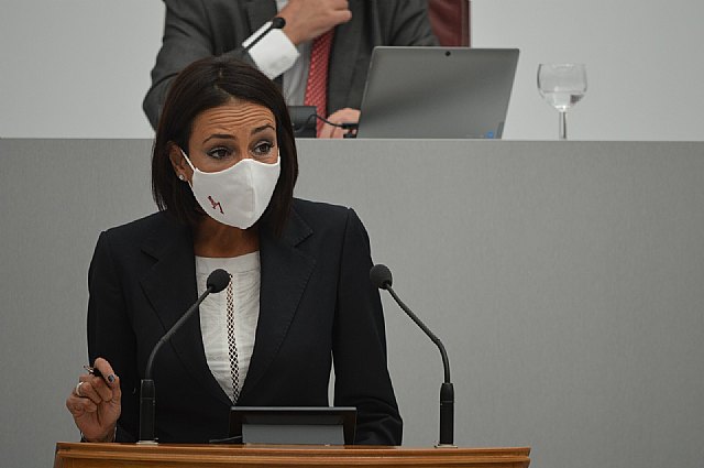 Ciudadanos saca adelante en la Asamblea Regional su propuesta para impulsar la inversión extranjera directa en la Región - 1, Foto 1