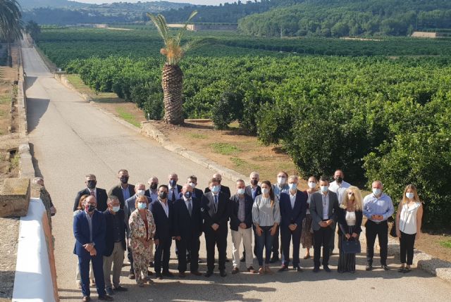 Cítricos Valencianos aglutina la unidad del sector por segundo año consecutivo en el Primer Corte de la Naranja Valenciana - 1, Foto 1