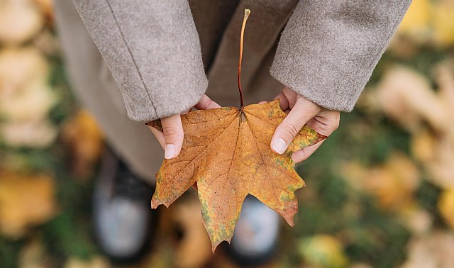 Aceites para cutículas: cuáles elegir y por qué - 1, Foto 1