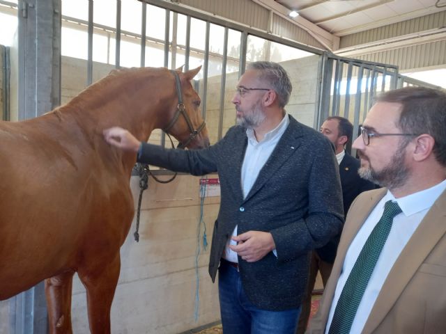 La Región muestra en la Feria del Caballo de Lorca la pujanza de un sector con cerca de 3.200 explotaciones equinas y 8.900 caballos - 1, Foto 1