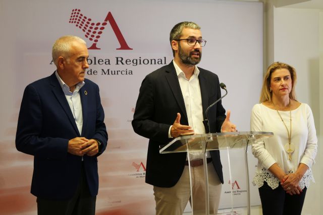 El PSOE no reconoce al nuevo portavoz del Grupo Mixto, Francisco Carrera, por haberse nombrado de forma irregular - 1, Foto 1