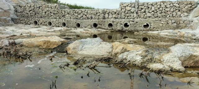 La CHS finaliza los trabajos de laminación en la rambla de Huete en Ceutí - 1, Foto 1