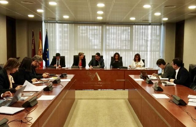 El Gobierno regional quiere ciudadanos activos y comprometidos con la vida pública - 1, Foto 1