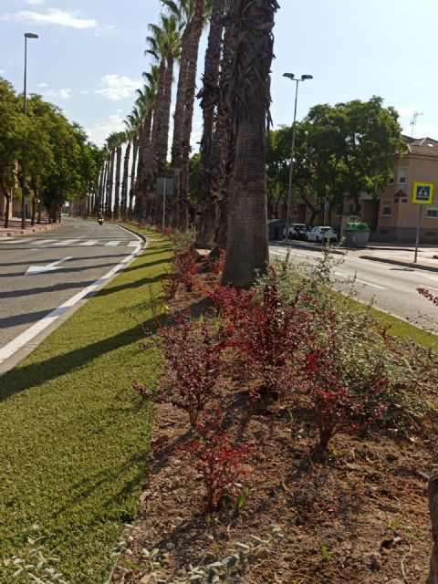 El Ayuntamiento mejora la calidad ambiental a través del Plan de Mejoras en Medianas y Rotondas - 2, Foto 2